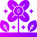 پیش‌نمایش فایل flower-11570057 از پک وسایل خانه