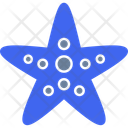 پیش‌نمایش فایل starfish-11649237 از پک دریانوردی