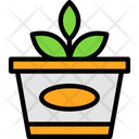 پیش‌نمایش فایل house-plant-11689540 از پک بهبود خانه