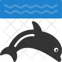 پیش‌نمایش فایل dolphin-11703666 از پک زمین بازی