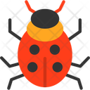 پیش‌نمایش فایل ladybug-11703686 از پک زمین بازی