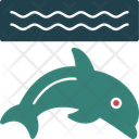 پیش‌نمایش فایل dolphin-11703868 از پک زمین بازی