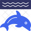پیش‌نمایش فایل dolphin-11704065 از پک زمین بازی