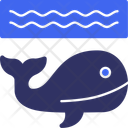 پیش‌نمایش فایل whale-11704138 از پک زمین بازی