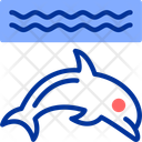 پیش‌نمایش فایل dolphin-11704517 از پک زمین بازی