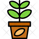 پیش‌نمایش فایل jade-plant-11708893 از پک سال نو چینی