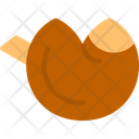 پیش‌نمایش فایل fortune-cookie-11709097 از پک سال نو چینی