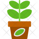 پیش‌نمایش فایل jade-plant-11709109 از پک سال نو چینی
