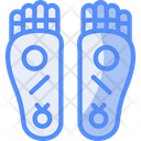 پیش‌نمایش فایل buddha-s-footprint-11709418 از پک سال نو چینی