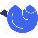 پیش‌نمایش فایل fortune-cookie-11709553 از پک سال نو چینی