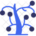 پیش‌نمایش فایل wishing-tree-11709611 از پک سال نو چینی
