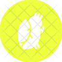 پیش‌نمایش فایل heart-223 از پک پزشکی گلیف دایره