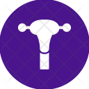 پیش‌نمایش فایل uterus-11 از پک پزشکی گلیف دایره