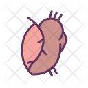 پیش‌نمایش فایل heart-224 از پک پزشکی خط پر