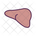 پیش‌نمایش فایل liver-10 از پک پزشکی خط پر