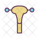 پیش‌نمایش فایل uterus-12 از پک پزشکی خط پر