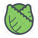 پیش‌نمایش فایل cabbage-1876819 از پک میوه و سبزی