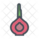 پیش‌نمایش فایل shallot-1876808 از پک میوه و سبزی