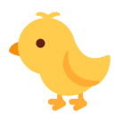 پیش‌نمایش فایل baby-chick-chicken-food-animal-meat از پک حیوان و طبیعت