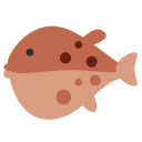 پیش‌نمایش فایل blowfish-fish-sea-food-aquatic-animal از پک حیوان و طبیعت