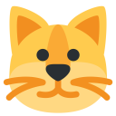 پیش‌نمایش فایل cat-face-pet-adopt-animal-human-friend از پک حیوان و طبیعت