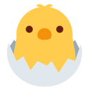 پیش‌نمایش فایل hatching-chick-baby-egg-new-born از پک حیوان و طبیعت
