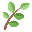 پیش‌نمایش فایل herb-leaf-plant-tree-green-nature-environment از پک حیوان و طبیعت