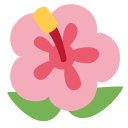 پیش‌نمایش فایل hibiscus-plant-bloosom-smell از پک حیوان و طبیعت