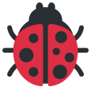 پیش‌نمایش فایل lady-beetle-insect-ladybird-ladybug از پک حیوان و طبیعت