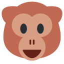 پیش‌نمایش فایل monkey-face-human-primate از پک حیوان و طبیعت