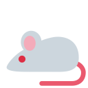 پیش‌نمایش فایل mouse-rat-test-animal از پک حیوان و طبیعت