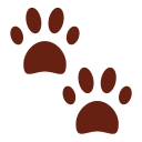 پیش‌نمایش فایل paw-prints-feet-footprint-animal از پک حیوان و طبیعت