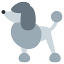 پیش‌نمایش فایل poodle-dog-cute-pet-adopt از پک حیوان و طبیعت