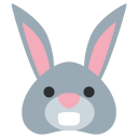 پیش‌نمایش فایل rabbit-face-mammal-test از پک حیوان و طبیعت
