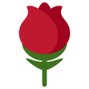 پیش‌نمایش فایل rose-flower-bloosom-smell-plant از پک حیوان و طبیعت