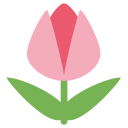 پیش‌نمایش فایل tulip-flower-rose-plant-smell از پک حیوان و طبیعت