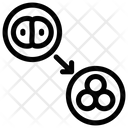 پیش‌نمایش فایل cell-division-1466764 از پک نوزاد آزمایشگاهی