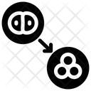 پیش‌نمایش فایل cell-division-1466085 از پک نوزاد آزمایشگاهی