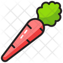پیش‌نمایش فایل carrot-1479227 از پک طبیعت و فضای باز