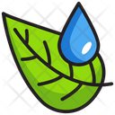 پیش‌نمایش فایل dew-drop-1479202 از پک طبیعت و فضای باز