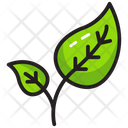 پیش‌نمایش فایل leaves-1479218 از پک طبیعت و فضای باز