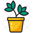 پیش‌نمایش فایل pot-plant-1479224 از پک طبیعت و فضای باز