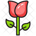 پیش‌نمایش فایل rose-1479232 از پک طبیعت و فضای باز