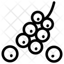 پیش‌نمایش فایل grapes-1506166 از پک غذا