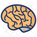 پیش‌نمایش فایل brain-1537779 از پک فناوری علم داده