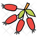 پیش‌نمایش فایل berries-1540316 از پک فصل