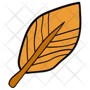 پیش‌نمایش فایل leaf-1540335 از پک فصل