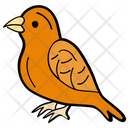 پیش‌نمایش فایل sparrow-1540314 از پک فصل