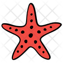 پیش‌نمایش فایل starfish-1540281 از پک فصل