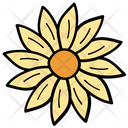 پیش‌نمایش فایل daisy-1540350 از پک فصل
